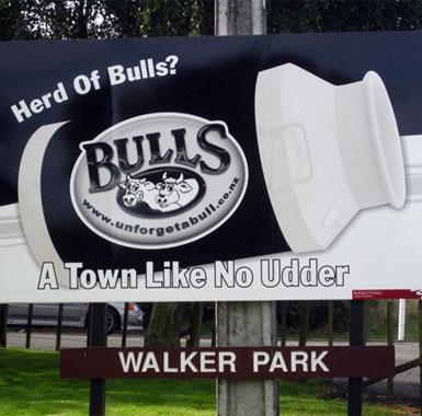 a park in Bulls