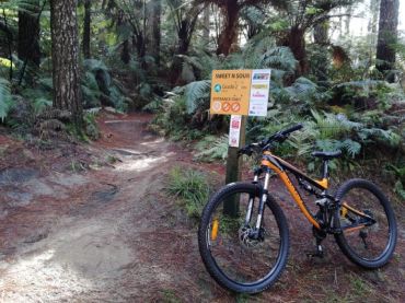 Mountain Biking